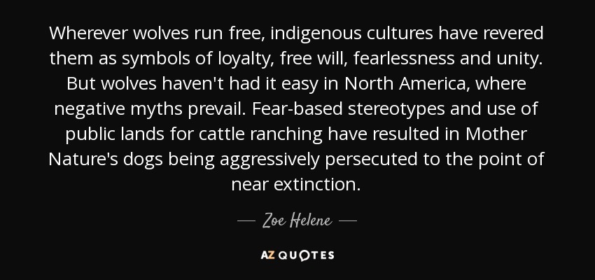 Wherever wolves run free, indigenous cultures have revered them as symbols of loyalty, free will, fearlessness and unity. But wolves haven't had it easy in North America, where negative myths prevail. Fear-based stereotypes and use of public lands for cattle ranching have resulted in Mother Nature's dogs being aggressively persecuted to the point of near extinction. - Zoe Helene