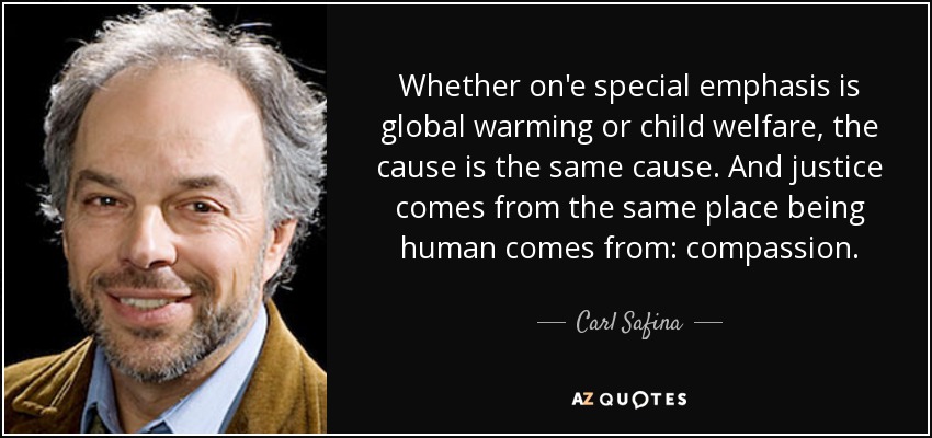 Whether on'e special emphasis is global warming or child welfare, the cause is the same cause. And justice comes from the same place being human comes from: compassion. - Carl Safina
