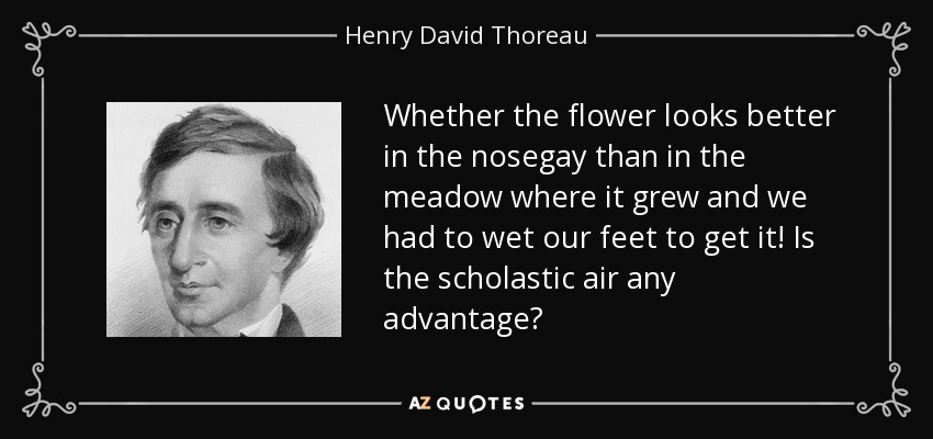 Whether the flower looks better in the nosegay than in the meadow where it grew and we had to wet our feet to get it! Is the scholastic air any advantage? - Henry David Thoreau