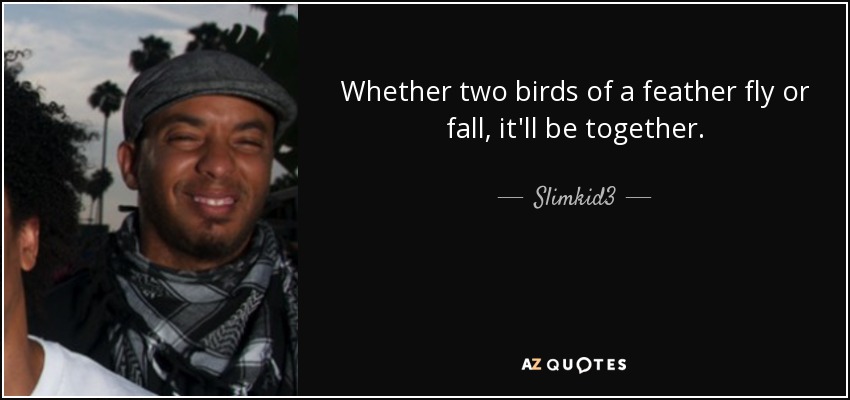 Whether two birds of a feather fly or fall, it'll be together. - Slimkid3