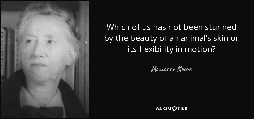 Which of us has not been stunned by the beauty of an animal's skin or its flexibility in motion? - Marianne Moore