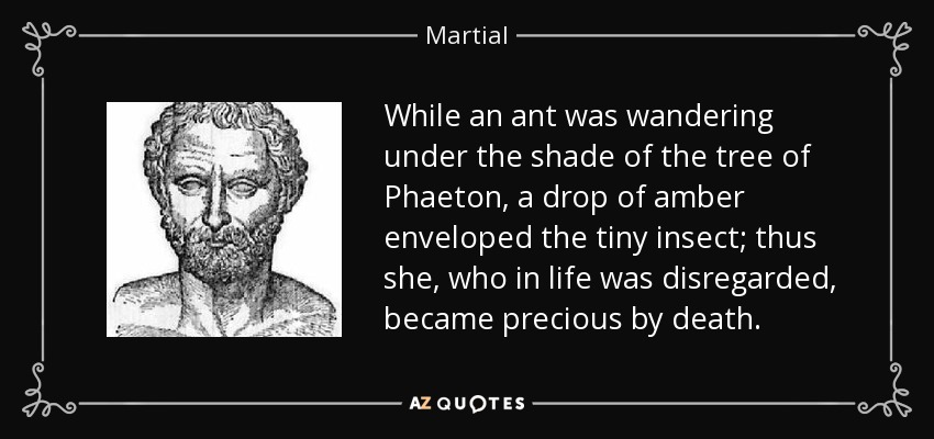 While an ant was wandering under the shade of the tree of Phaeton, a drop of amber enveloped the tiny insect; thus she, who in life was disregarded, became precious by death. - Martial