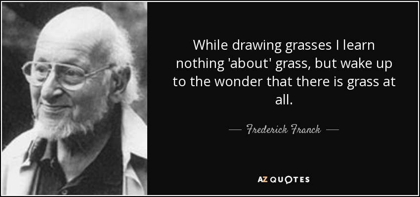 While drawing grasses I learn nothing 'about' grass, but wake up to the wonder that there is grass at all. - Frederick Franck