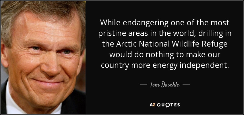 While endangering one of the most pristine areas in the world, drilling in the Arctic National Wildlife Refuge would do nothing to make our country more energy independent. - Tom Daschle