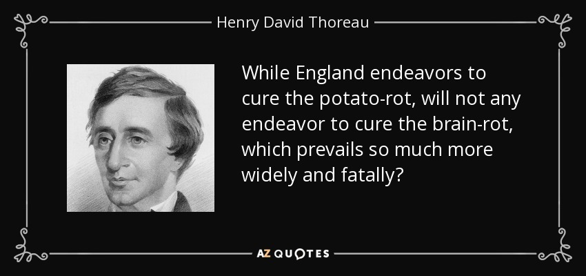 While England endeavors to cure the potato-rot, will not any endeavor to cure the brain-rot, which prevails so much more widely and fatally? - Henry David Thoreau