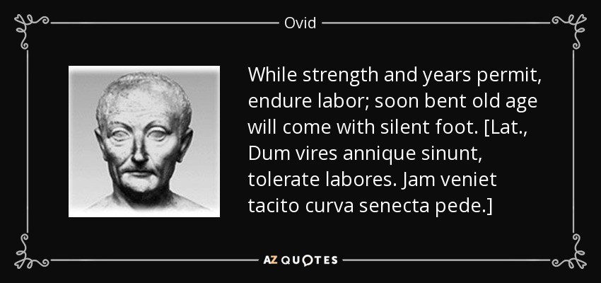 While strength and years permit, endure labor; soon bent old age will come with silent foot. [Lat., Dum vires annique sinunt, tolerate labores. Jam veniet tacito curva senecta pede.] - Ovid