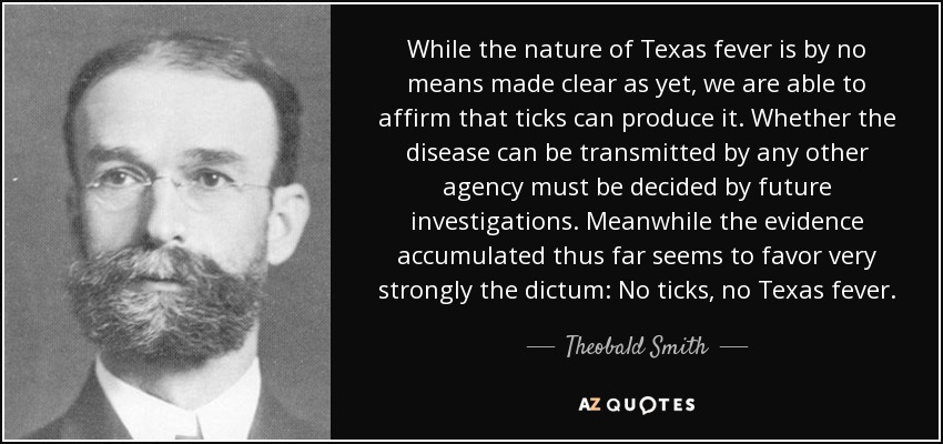 While the nature of Texas fever is by no means made clear as yet, we are able to affirm that ticks can produce it. Whether the disease can be transmitted by any other agency must be decided by future investigations. Meanwhile the evidence accumulated thus far seems to favor very strongly the dictum: No ticks, no Texas fever. - Theobald Smith
