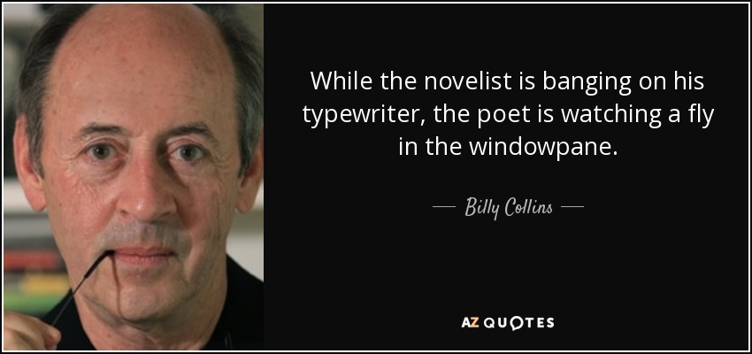 While the novelist is banging on his typewriter, the poet is watching a fly in the windowpane. - Billy Collins