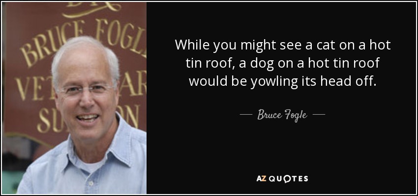 While you might see a cat on a hot tin roof, a dog on a hot tin roof would be yowling its head off. - Bruce Fogle