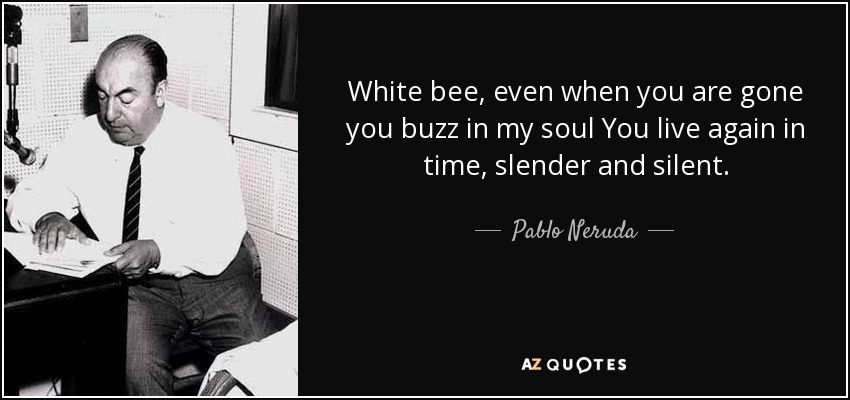 White bee, even when you are gone you buzz in my soul You live again in time, slender and silent. - Pablo Neruda
