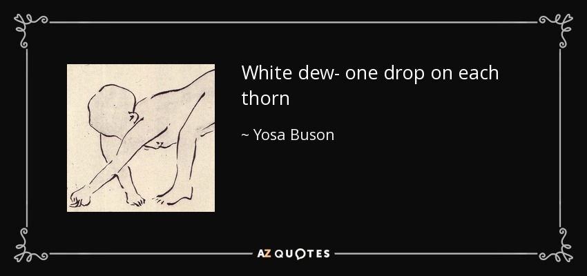 White dew- one drop on each thorn - Yosa Buson