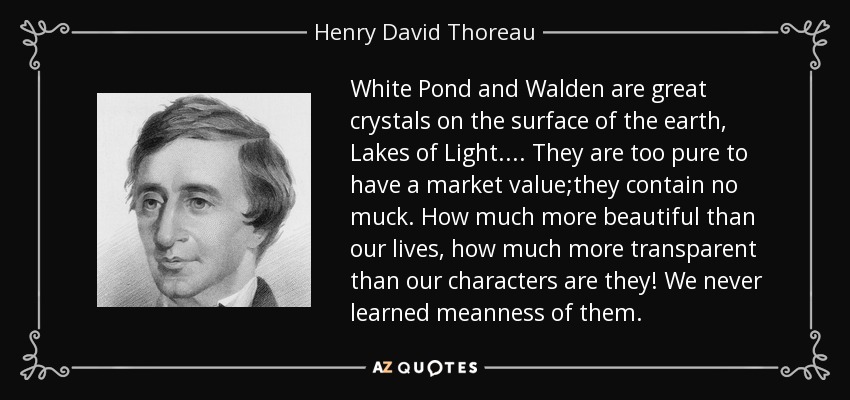 White Pond and Walden are great crystals on the surface of the earth, Lakes of Light.... They are too pure to have a market value;they contain no muck. How much more beautiful than our lives, how much more transparent than our characters are they! We never learned meanness of them. - Henry David Thoreau