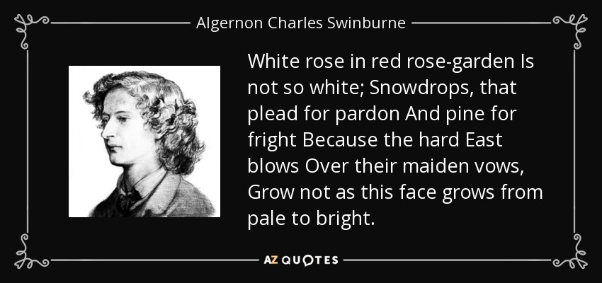 White rose in red rose-garden Is not so white; Snowdrops, that plead for pardon And pine for fright Because the hard East blows Over their maiden vows, Grow not as this face grows from pale to bright. - Algernon Charles Swinburne