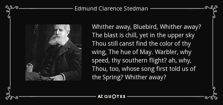 Whither away, Bluebird, Whither away? The blast is chill, yet in the upper sky Thou still canst find the color of thy wing, The hue of May. Warbler, why speed, thy southern flight? ah, why, Thou, too, whose song first told us of the Spring? Whither away? - Edmund Clarence Stedman