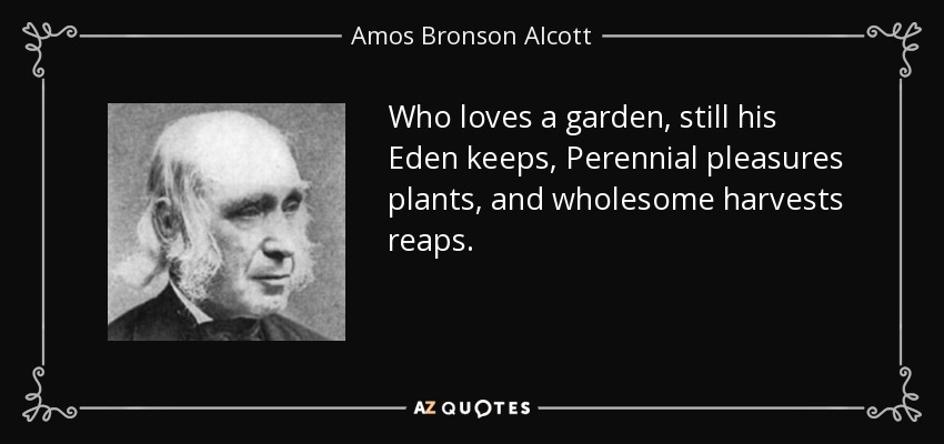 Who loves a garden, still his Eden keeps, Perennial pleasures plants, and wholesome harvests reaps. - Amos Bronson Alcott