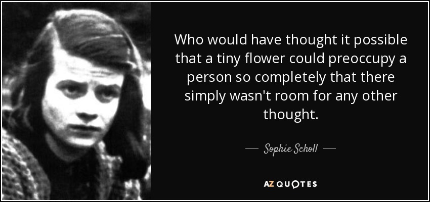 Who would have thought it possible that a tiny flower could preoccupy a person so completely that there simply wasn't room for any other thought. - Sophie Scholl