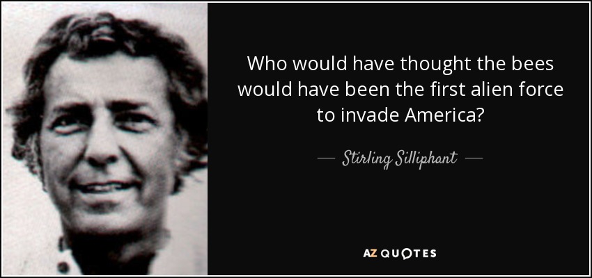 Who would have thought the bees would have been the first alien force to invade America? - Stirling Silliphant