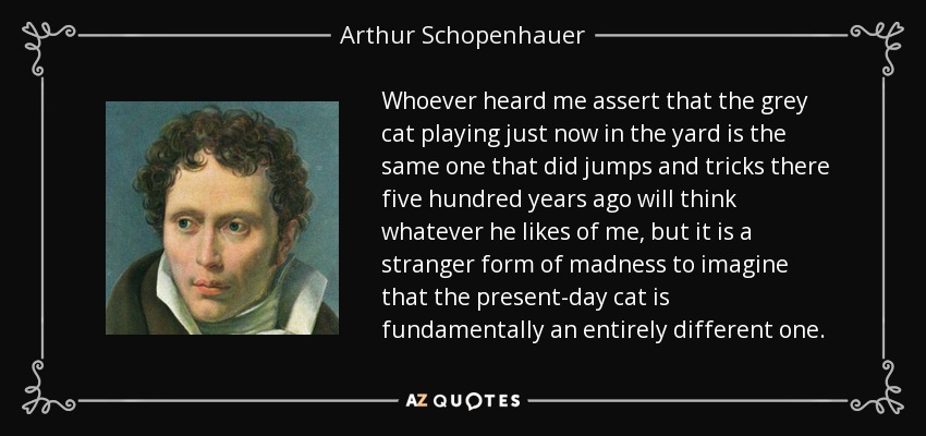 Whoever heard me assert that the grey cat playing just now in the yard is the same one that did jumps and tricks there five hundred years ago will think whatever he likes of me, but it is a stranger form of madness to imagine that the present-day cat is fundamentally an entirely different one. - Arthur Schopenhauer