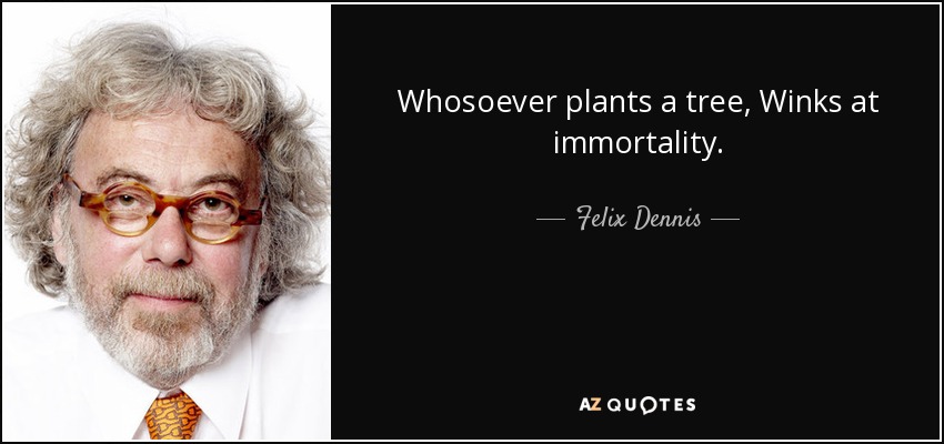 Whosoever plants a tree, Winks at immortality. - Felix Dennis