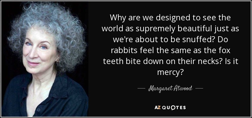 Why are we designed to see the world as supremely beautiful just as we're about to be snuffed? Do rabbits feel the same as the fox teeth bite down on their necks? Is it mercy? - Margaret Atwood