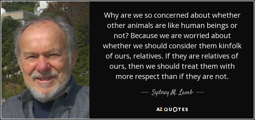 Why are we so concerned about whether other animals are like human beings or not? Because we are worried about whether we should consider them kinfolk of ours, relatives. If they are relatives of ours, then we should treat them with more respect than if they are not. - Sydney M. Lamb