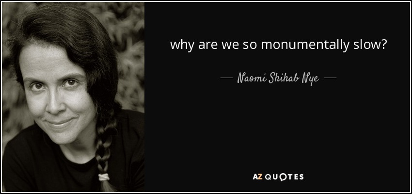 why are we so monumentally slow? - Naomi Shihab Nye