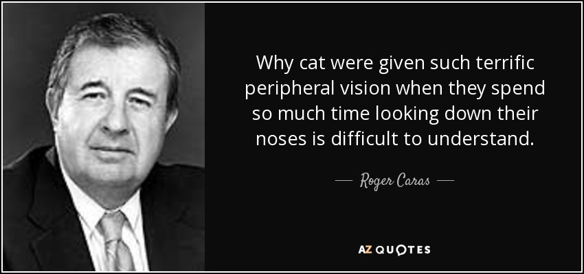 Why cat were given such terrific peripheral vision when they spend so much time looking down their noses is difficult to understand. - Roger Caras