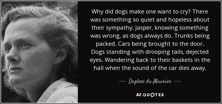 Why did dogs make one want to cry? There was something so quiet and hopeless about their sympathy. Jasper, knowing something was wrong, as dogs always do. Trunks being packed. Cars being brought to the door. Dogs standing with drooping tails, dejected eyes. Wandering back to their baskets in the hall when the sound of the car dies away. - Daphne du Maurier