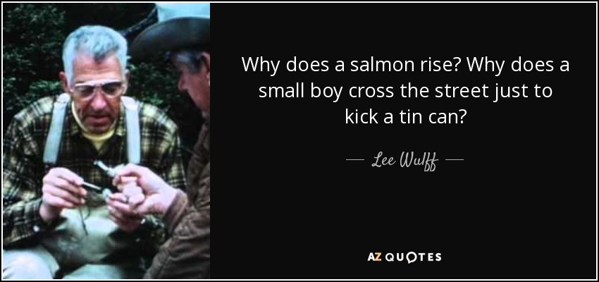 Why does a salmon rise? Why does a small boy cross the street just to kick a tin can? - Lee Wulff
