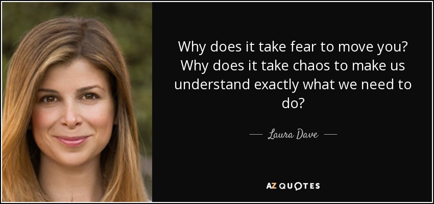 Why does it take fear to move you? Why does it take chaos to make us understand exactly what we need to do? - Laura Dave