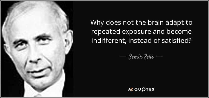 Why does not the brain adapt to repeated exposure and become indifferent, instead of satisfied? - Semir Zeki