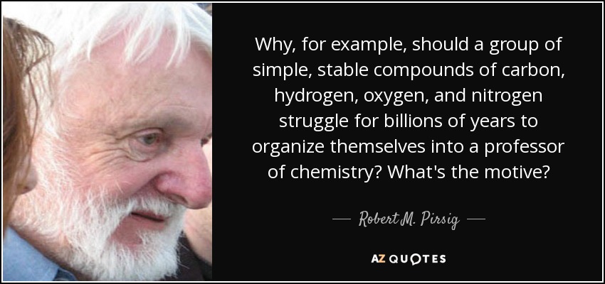 Why, for example, should a group of simple, stable compounds of carbon, hydrogen, oxygen, and nitrogen struggle for billions of years to organize themselves into a professor of chemistry? What's the motive? - Robert M. Pirsig
