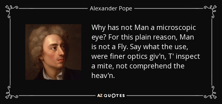 Why has not Man a microscopic eye? For this plain reason, Man is not a Fly. Say what the use, were finer optics giv'n, T' inspect a mite, not comprehend the heav'n. - Alexander Pope