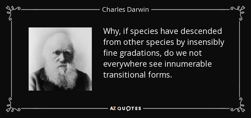 Why, if species have descended from other species by insensibly fine gradations, do we not everywhere see innumerable transitional forms. - Charles Darwin