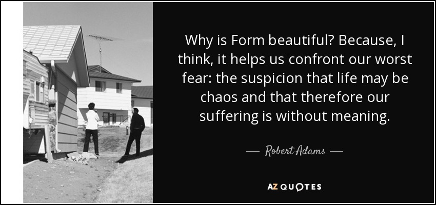 Why is Form beautiful? Because, I think, it helps us confront our worst fear: the suspicion that life may be chaos and that therefore our suffering is without meaning. - Robert Adams