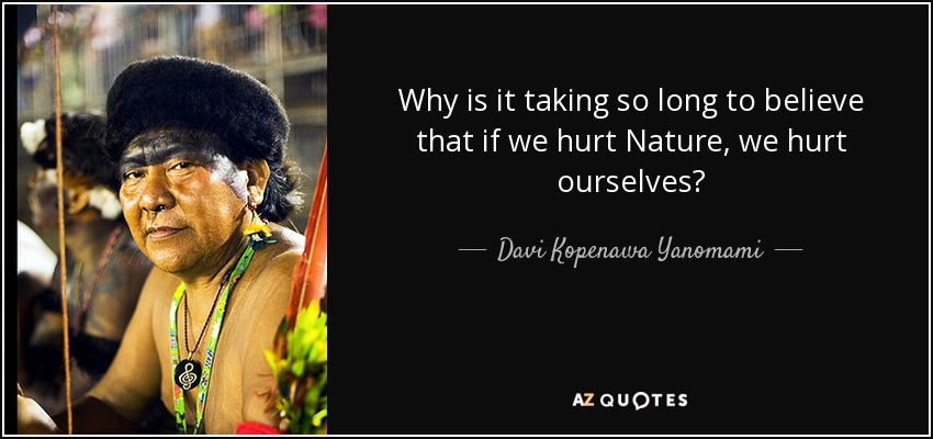 Why is it taking so long to believe that if we hurt Nature, we hurt ourselves? - Davi Kopenawa Yanomami