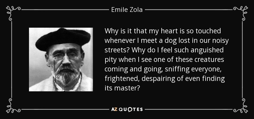 Why is it that my heart is so touched whenever I meet a dog lost in our noisy streets? Why do I feel such anguished pity when I see one of these creatures coming and going, sniffing everyone, frightened, despairing of even finding its master? - Emile Zola