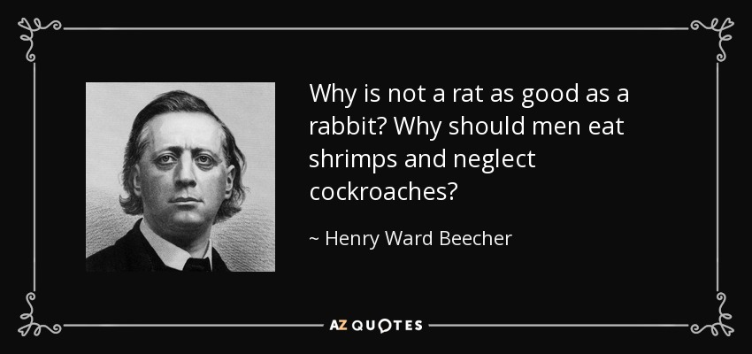 Why is not a rat as good as a rabbit? Why should men eat shrimps and neglect cockroaches? - Henry Ward Beecher