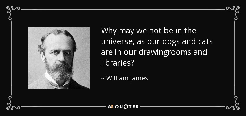 Why may we not be in the universe, as our dogs and cats are in our drawingrooms and libraries? - William James