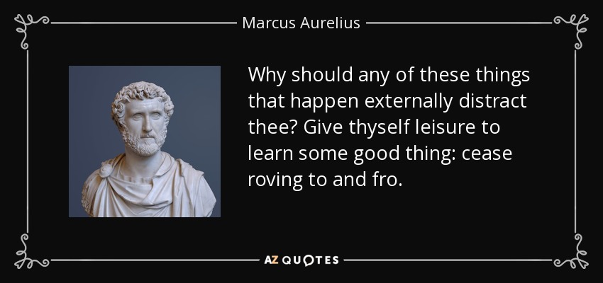 Why should any of these things that happen externally distract thee? Give thyself leisure to learn some good thing: cease roving to and fro. - Marcus Aurelius
