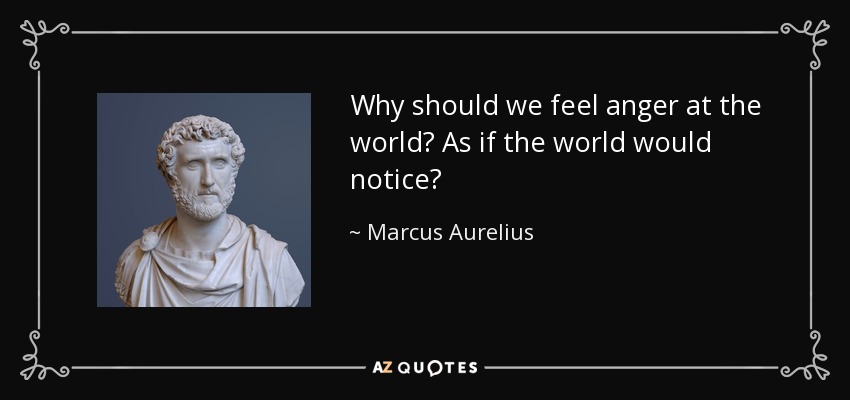 Why should we feel anger at the world? As if the world would notice? - Marcus Aurelius