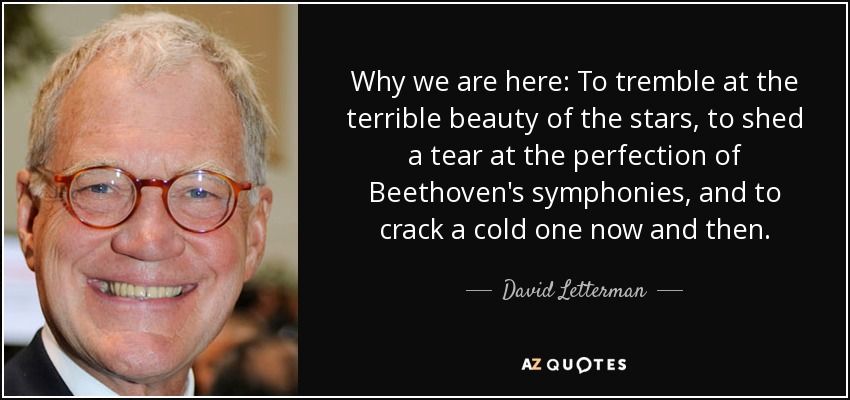 Why we are here: To tremble at the terrible beauty of the stars, to shed a tear at the perfection of Beethoven's symphonies, and to crack a cold one now and then. - David Letterman