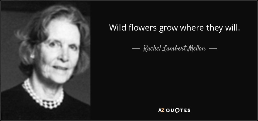 Wild flowers grow where they will. - Rachel Lambert Mellon