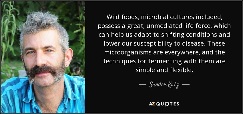 Wild foods, microbial cultures included, possess a great, unmediated life force, which can help us adapt to shifting conditions and lower our susceptibility to disease. These microorganisms are everywhere, and the techniques for fermenting with them are simple and flexible. - Sandor Katz