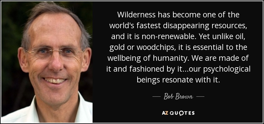 Wilderness has become one of the world's fastest disappearing resources, and it is non-renewable. Yet unlike oil, gold or woodchips, it is essential to the wellbeing of humanity. We are made of it and fashioned by it...our psychological beings resonate with it. - Bob Brown