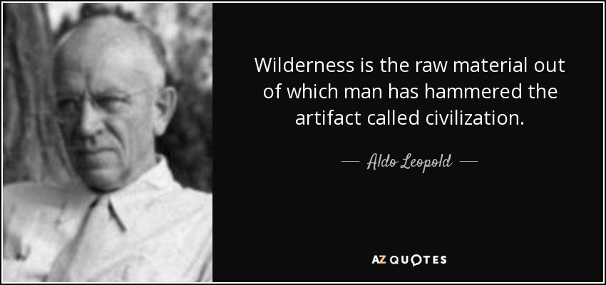 Wilderness is the raw material out of which man has hammered the artifact called civilization. - Aldo Leopold