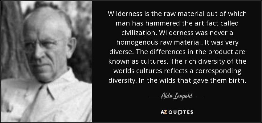 Wilderness is the raw material out of which man has hammered the artifact called civilization. Wilderness was never a homogenous raw material. It was very diverse. The differences in the product are known as cultures. The rich diversity of the worlds cultures reflects a corresponding diversity. In the wilds that gave them birth. - Aldo Leopold
