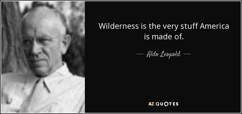 Wilderness is the very stuff America is made of. - Aldo Leopold