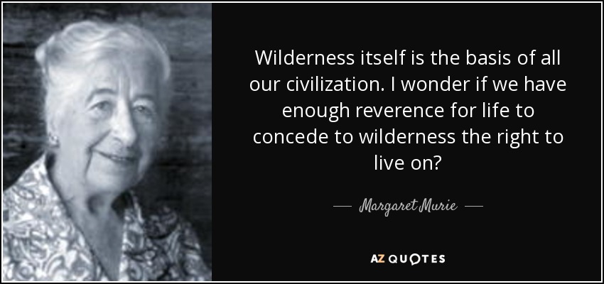 Wilderness itself is the basis of all our civilization. I wonder if we have enough reverence for life to concede to wilderness the right to live on? - Margaret Murie