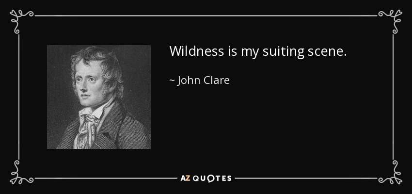 Wildness is my suiting scene. - John Clare